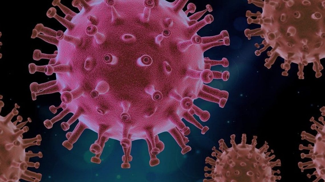 Varianti del coronavirus, in futuro potremmo prevedere le possibili mutazioni