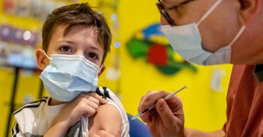 Record di vaccini: ieri in Italia 686 mila dosi. A Trieste e Gorizia stop all’attività chirurgica