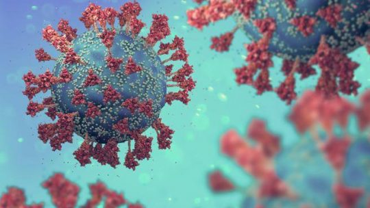 I super anticorpi efficaci contro diversi coronavirus (comprese le varianti emergenti)